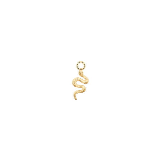 Gold Snake Charm