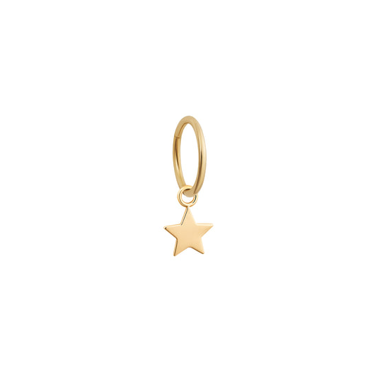 Gold Star Charm